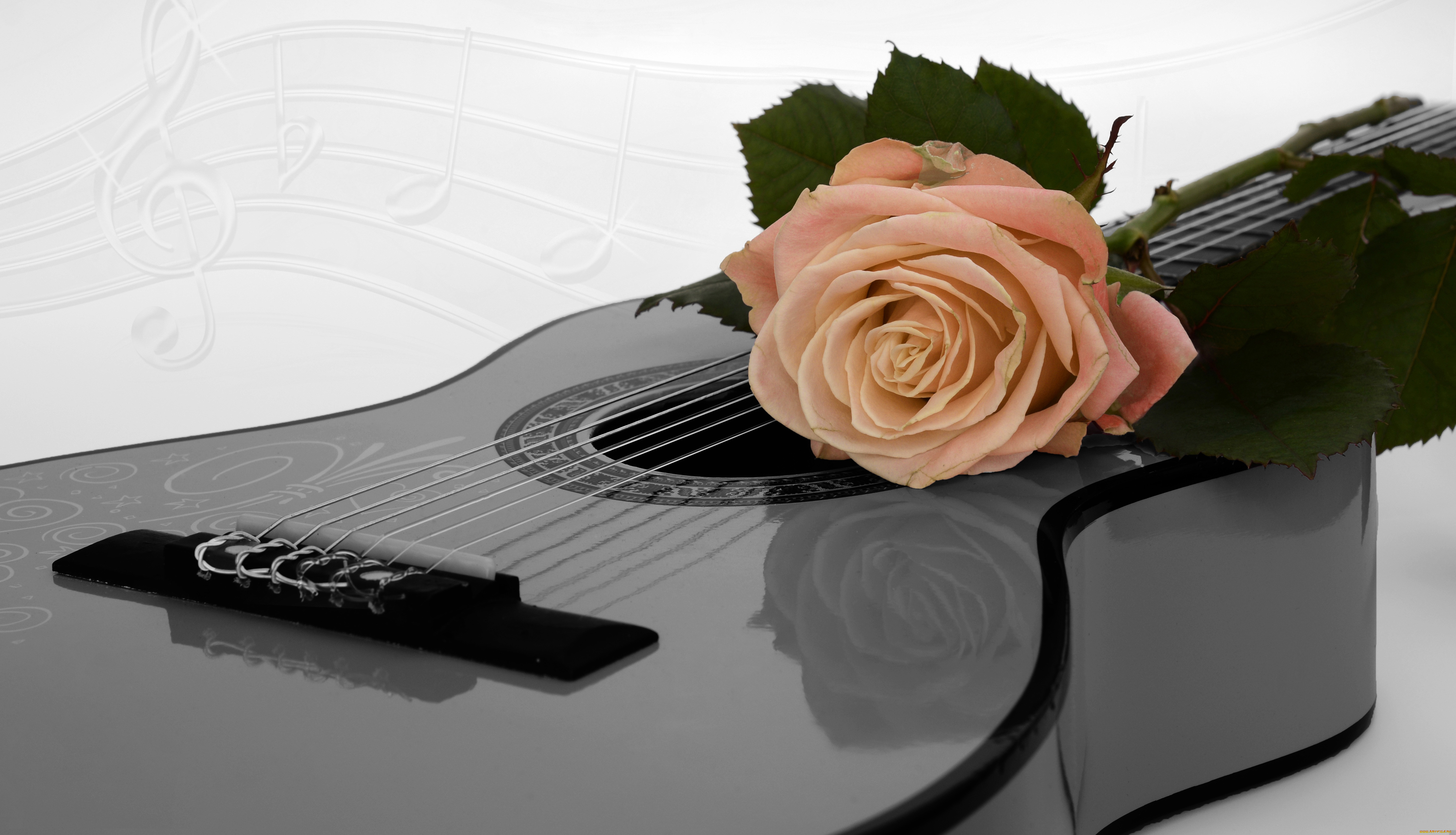 Гитара зонтик. Цветы для музыканта. Музыкальные инструменты и цветы. Открытка гитара с цветами.